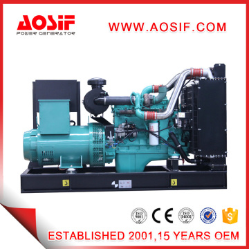 250kw Cummins Diesel Generator 3 Phase AC Genrator